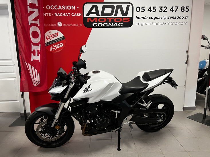 CB 1000 HORNET - COGNAC