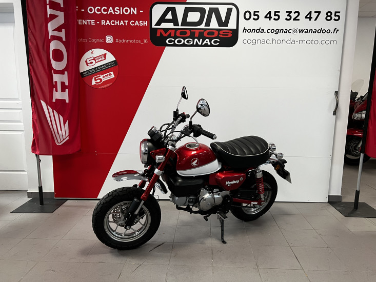 HONDA MONKEY 125 - COGNAC